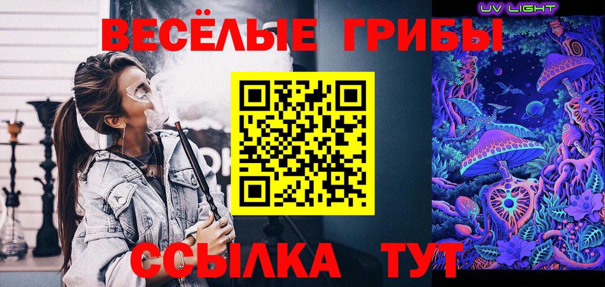 Тимашёвск  Галлюциногенные грибы прущие грибы  наркотики  Вход с VPN 