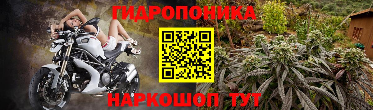 Бошки марихуана марихуана Тимашёвск